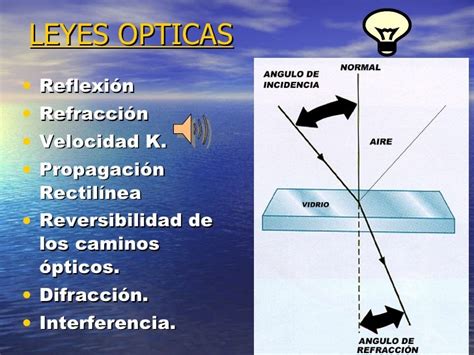 LeYes Optics